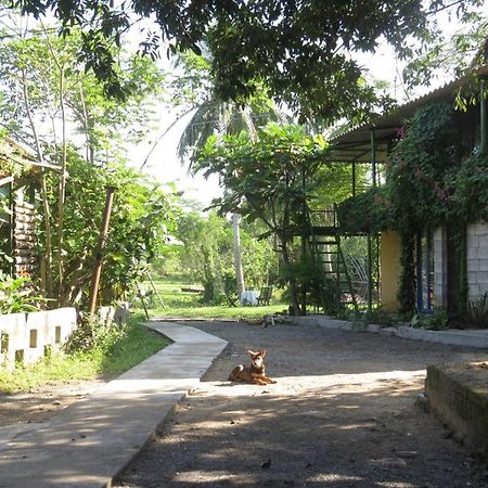 Trai Dien Homestay Hoa Trung Exterior photo